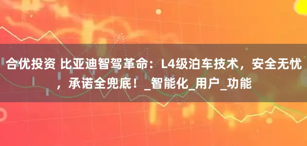 合优投资 比亚迪智驾革命：L4级泊车技术，安全无忧，承诺全兜底！_智能化_用户_功能