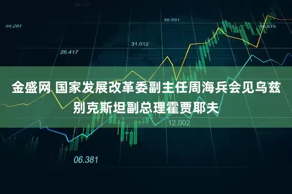 金盛网 国家发展改革委副主任周海兵会见乌兹别克斯坦副总理霍贾耶夫