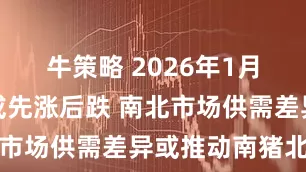 牛策略 2026年1月生猪价格或先涨后跌 南北市场供需差异或推动南猪北调